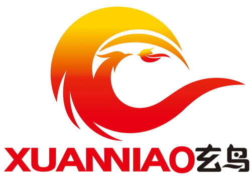 南宁玄鸟网络科技 深耕本土，以技术创新赋能数字未来